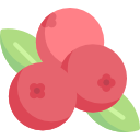 Berries image
