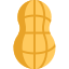 Peanut image