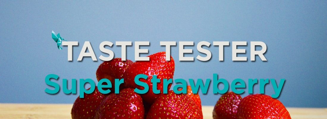 Taste Tester Strawberry Launch