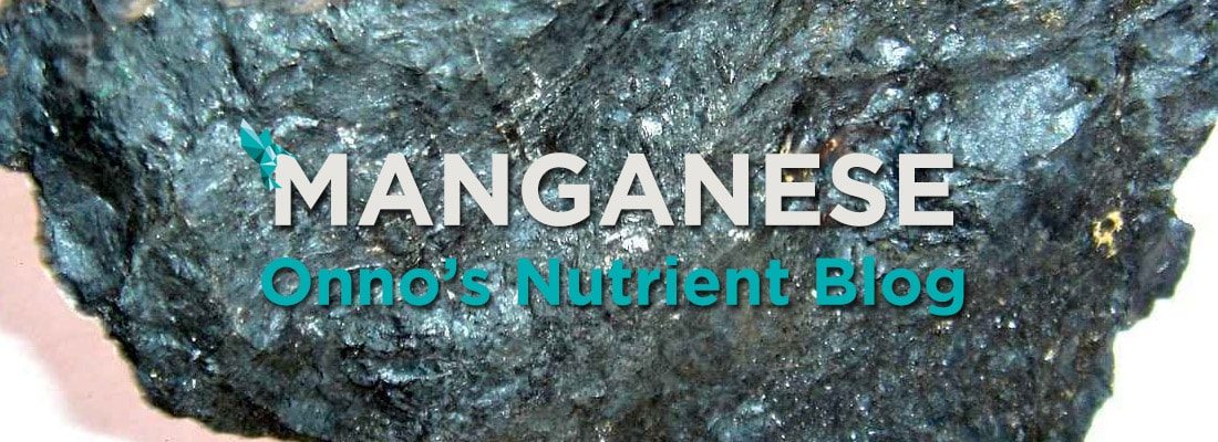 Manganese Nutrient