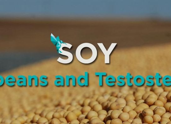 Soy Soybeans Testosterone