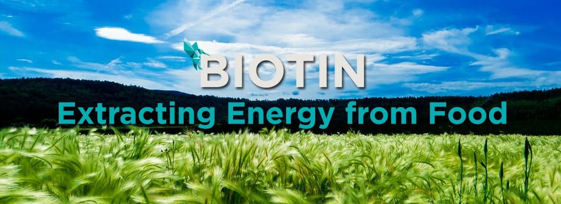 Biotin Food Energy